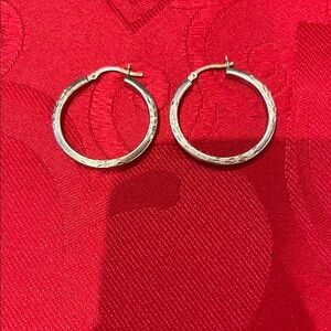 Elegant Silver Hoop Earrings